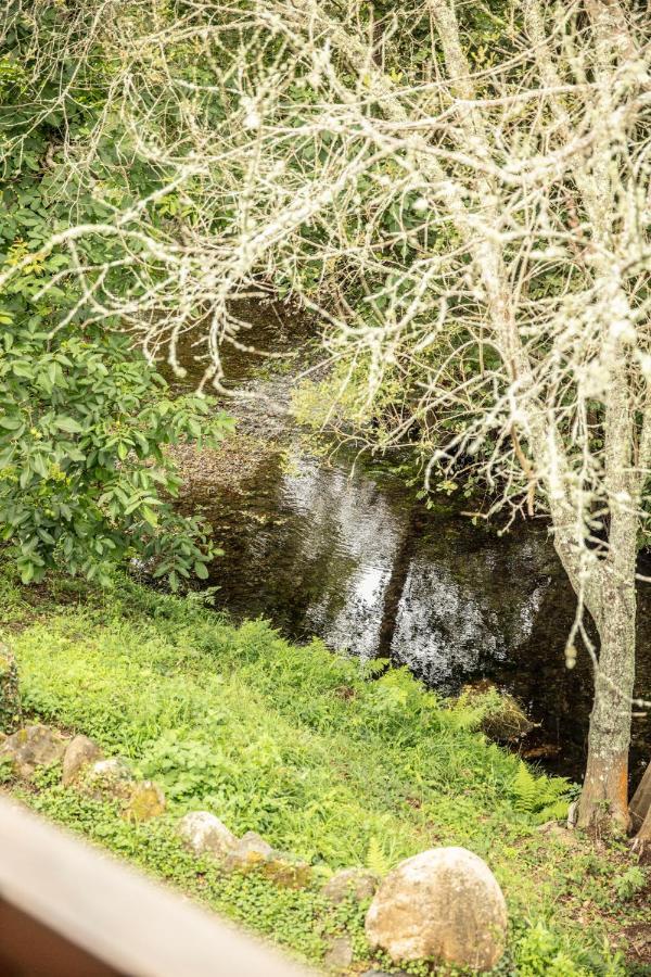 Penzion Lugar Del Rio Couzadoiro Exteriér fotografie